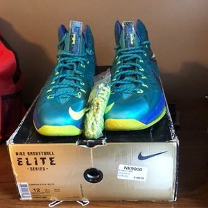 Lebron 10 x Elite Miami Dade